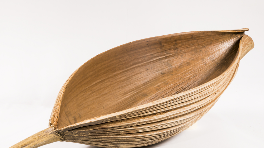 Inaya palm leaf basket handcrafted in Colombia