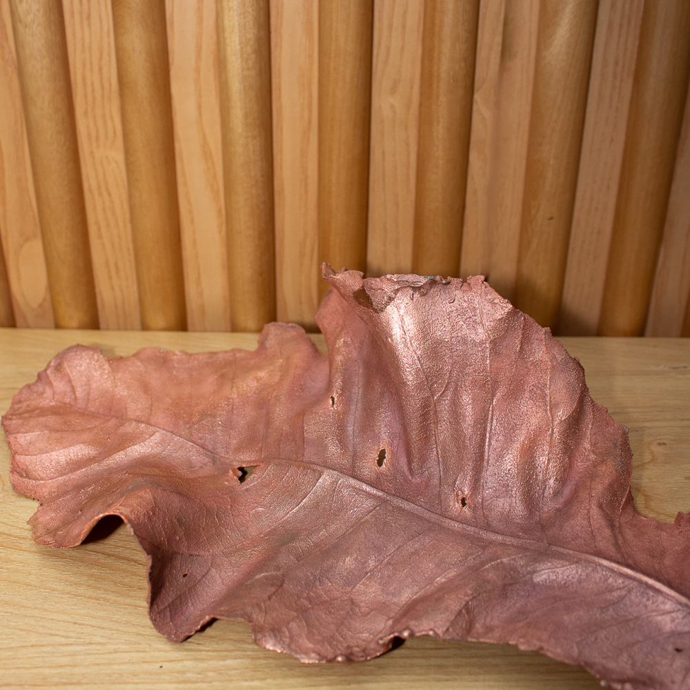Copper leaf image 8