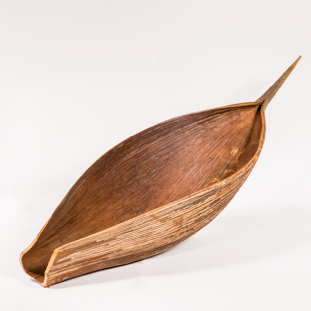 Inaya palm leaf image 0