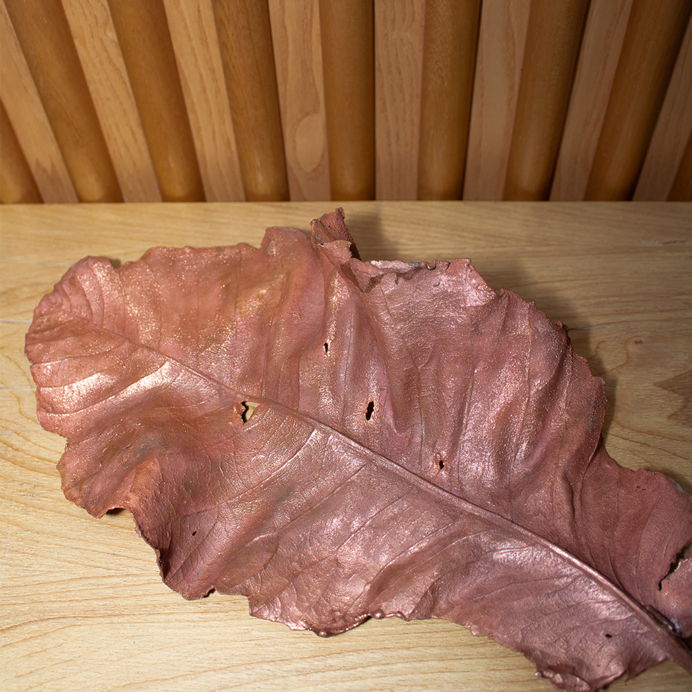 Copper leaf image 9