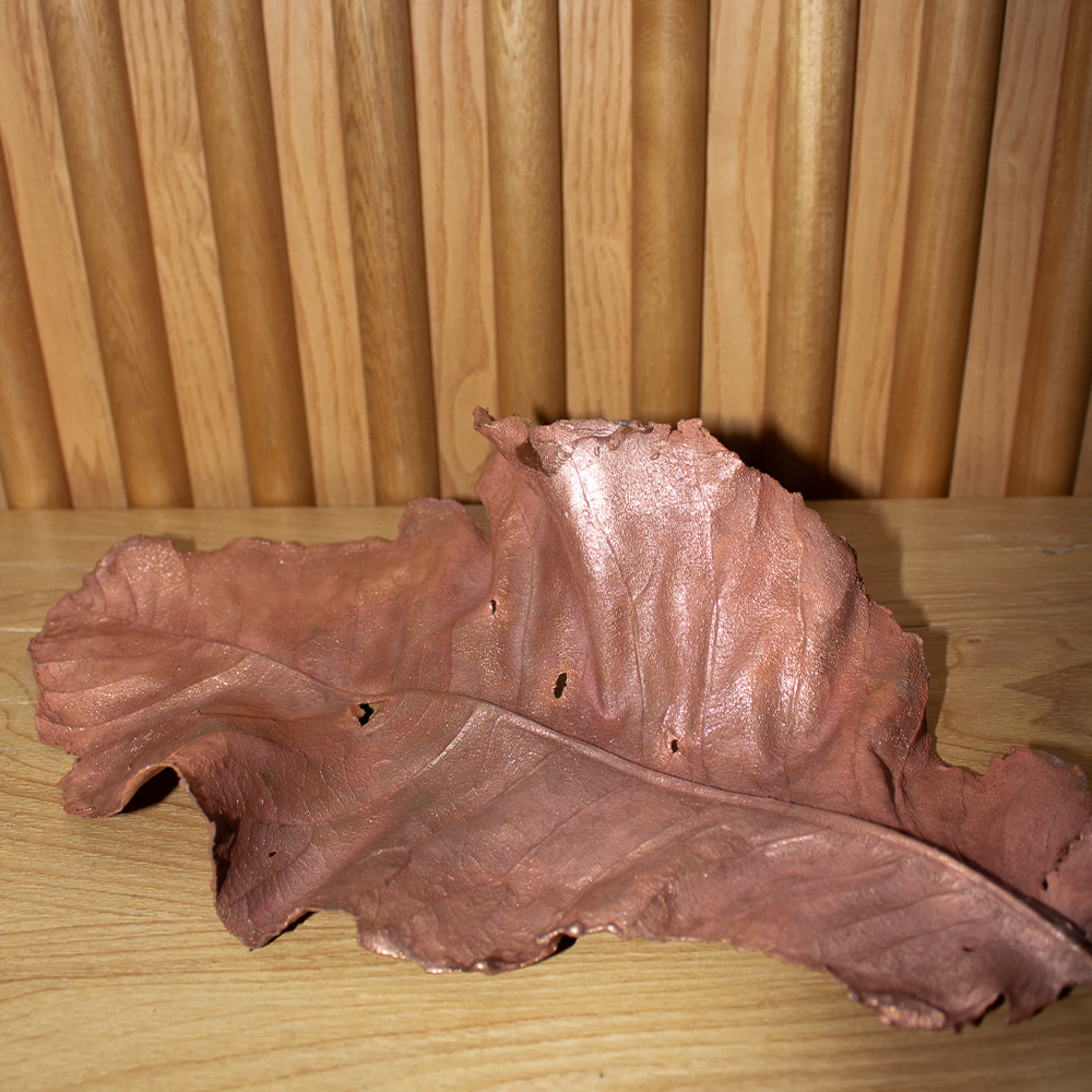 Copper leaf image 10