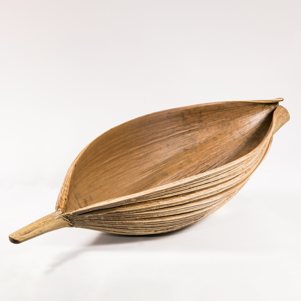 Inaya palm leaf image 2