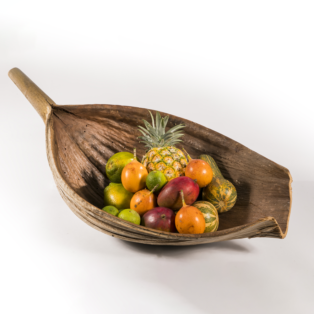 Inaya palm leaf image 3