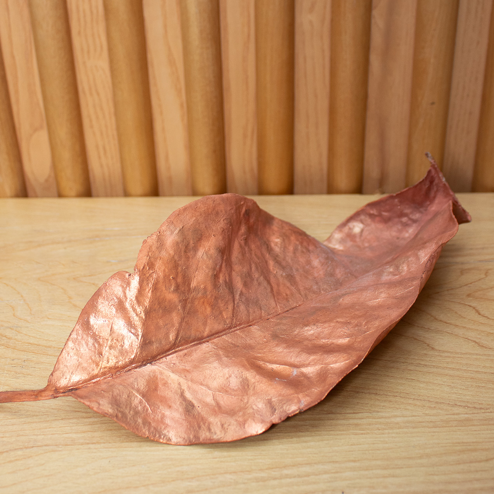 Copper leaf image 0