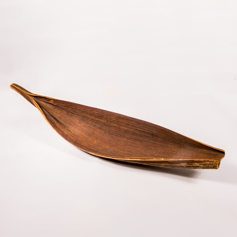 Inaya palm leaf image 1