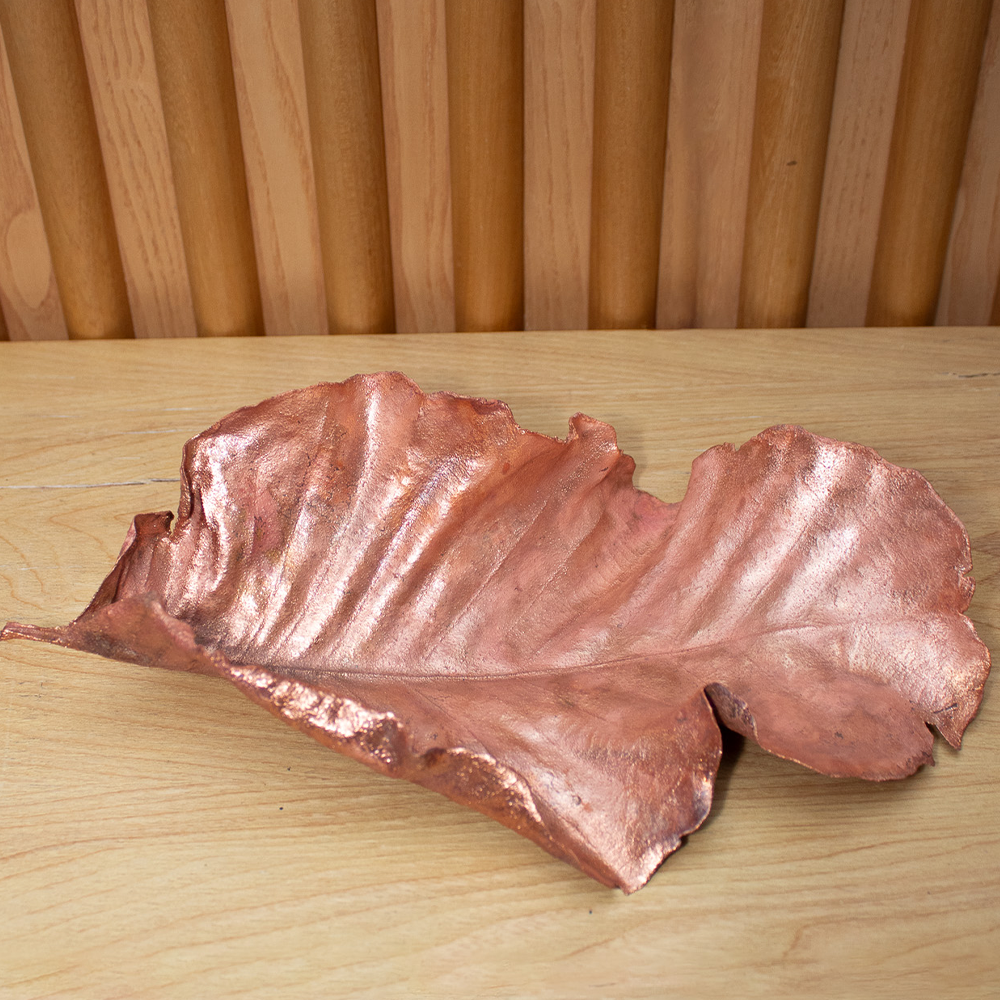 Copper leaf image 5