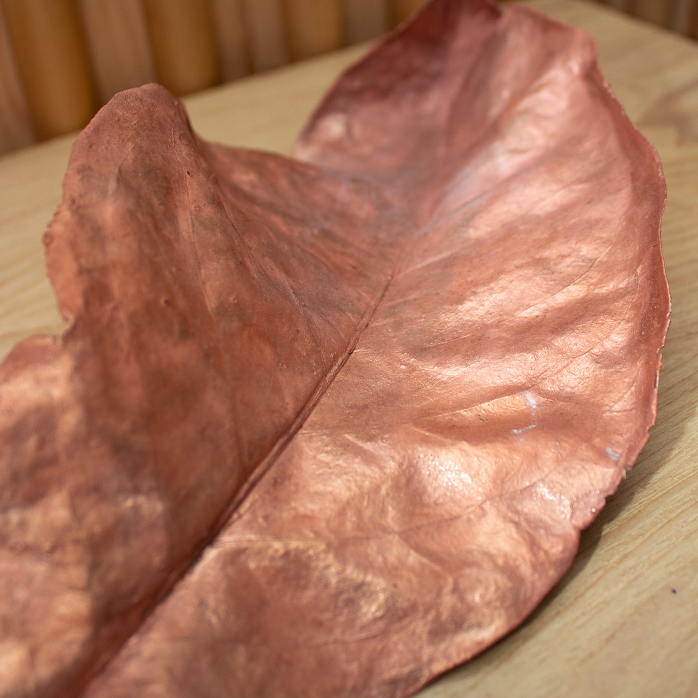 Copper leaf image 1