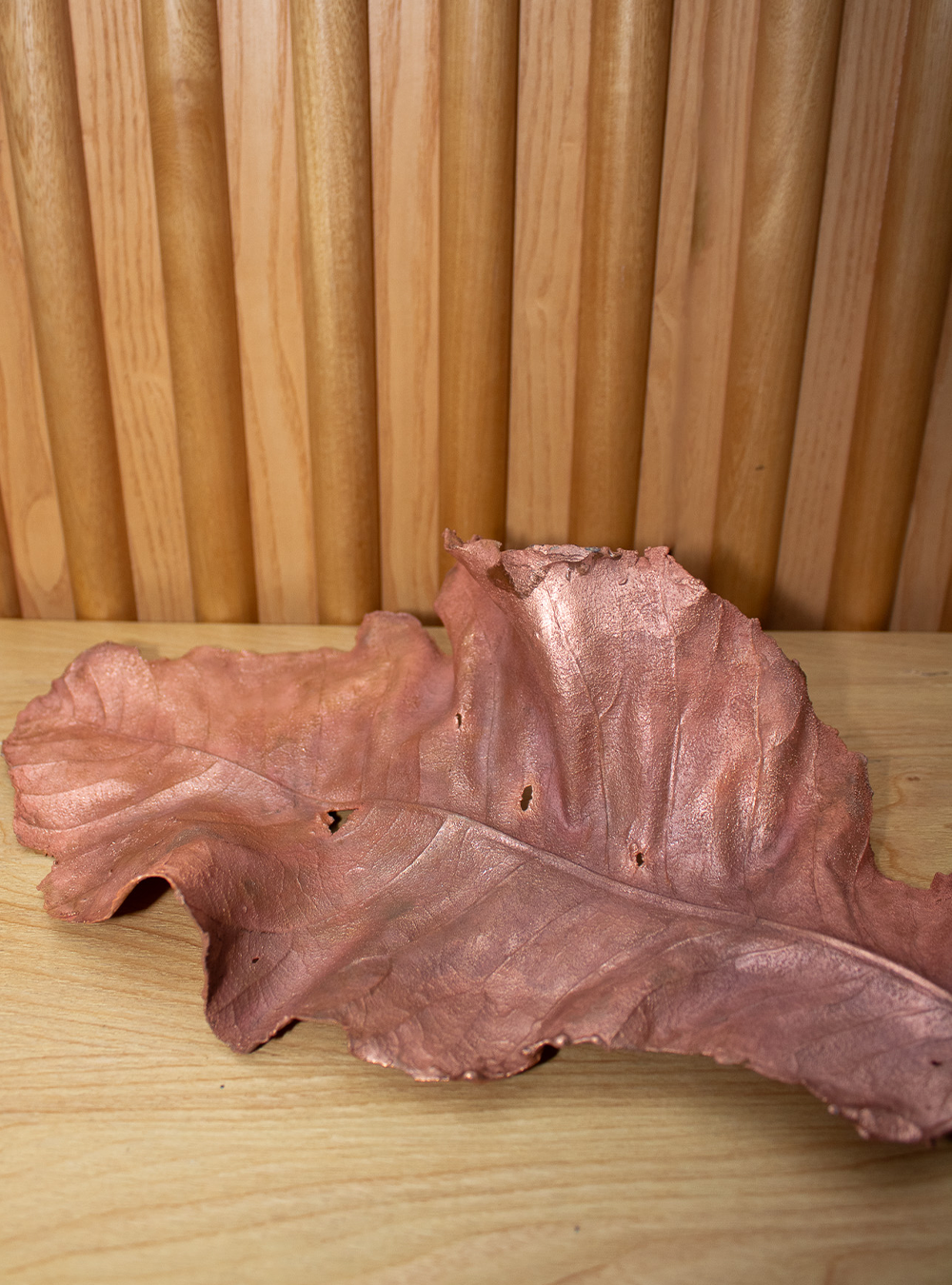 Copper leaf image 8