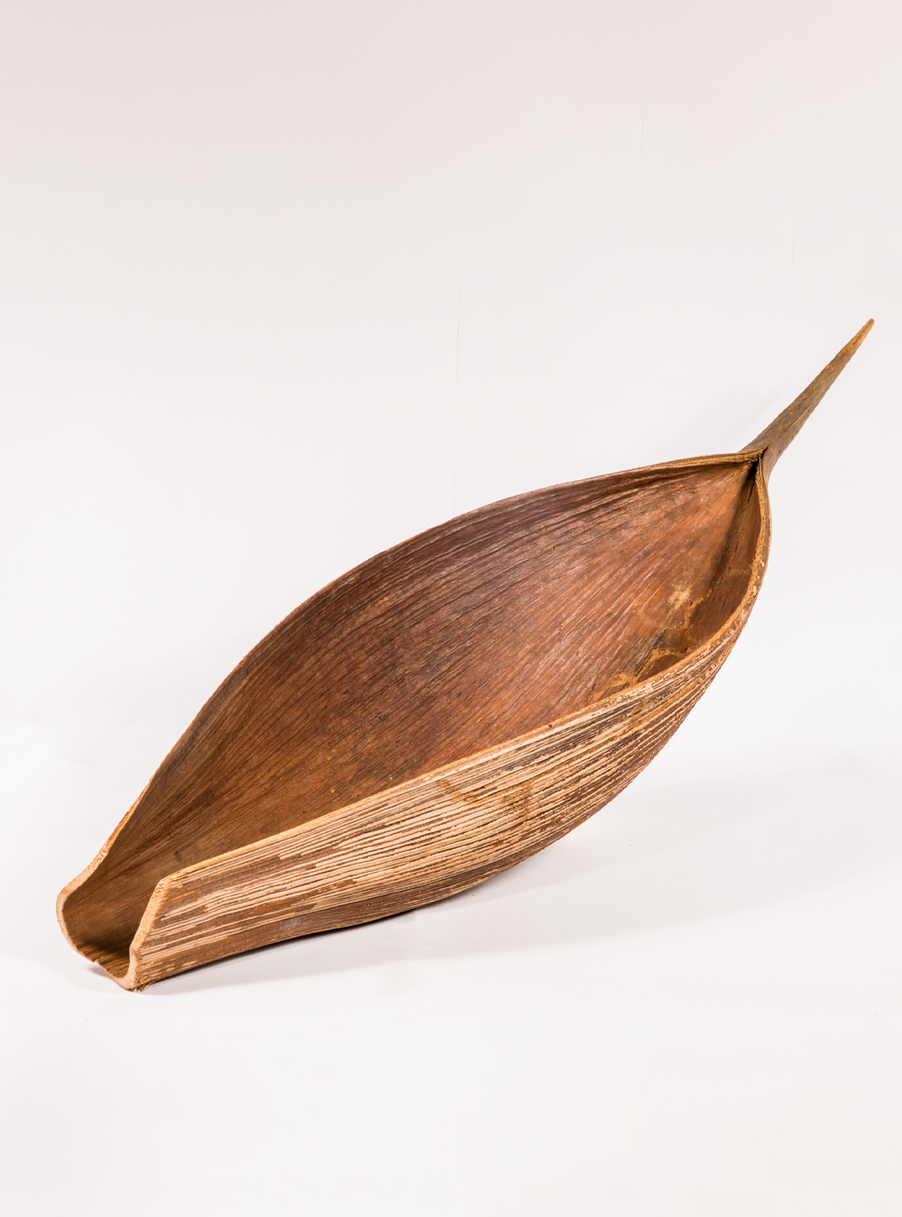 Inaya palm leaf image 0