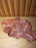 Copper leaf image 9