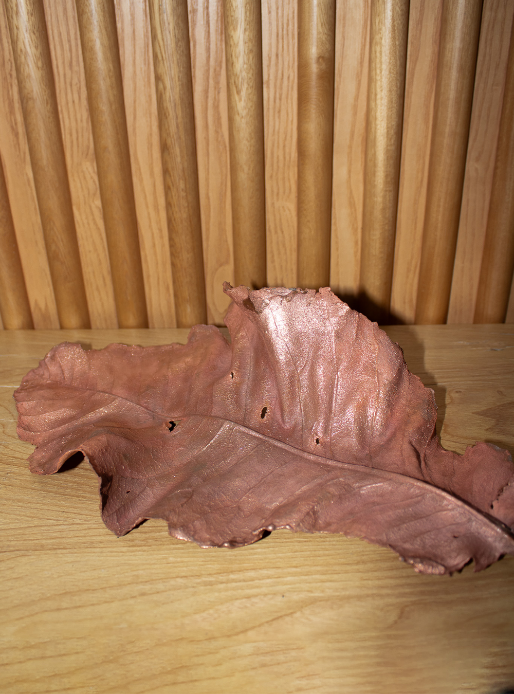 Copper leaf image 10