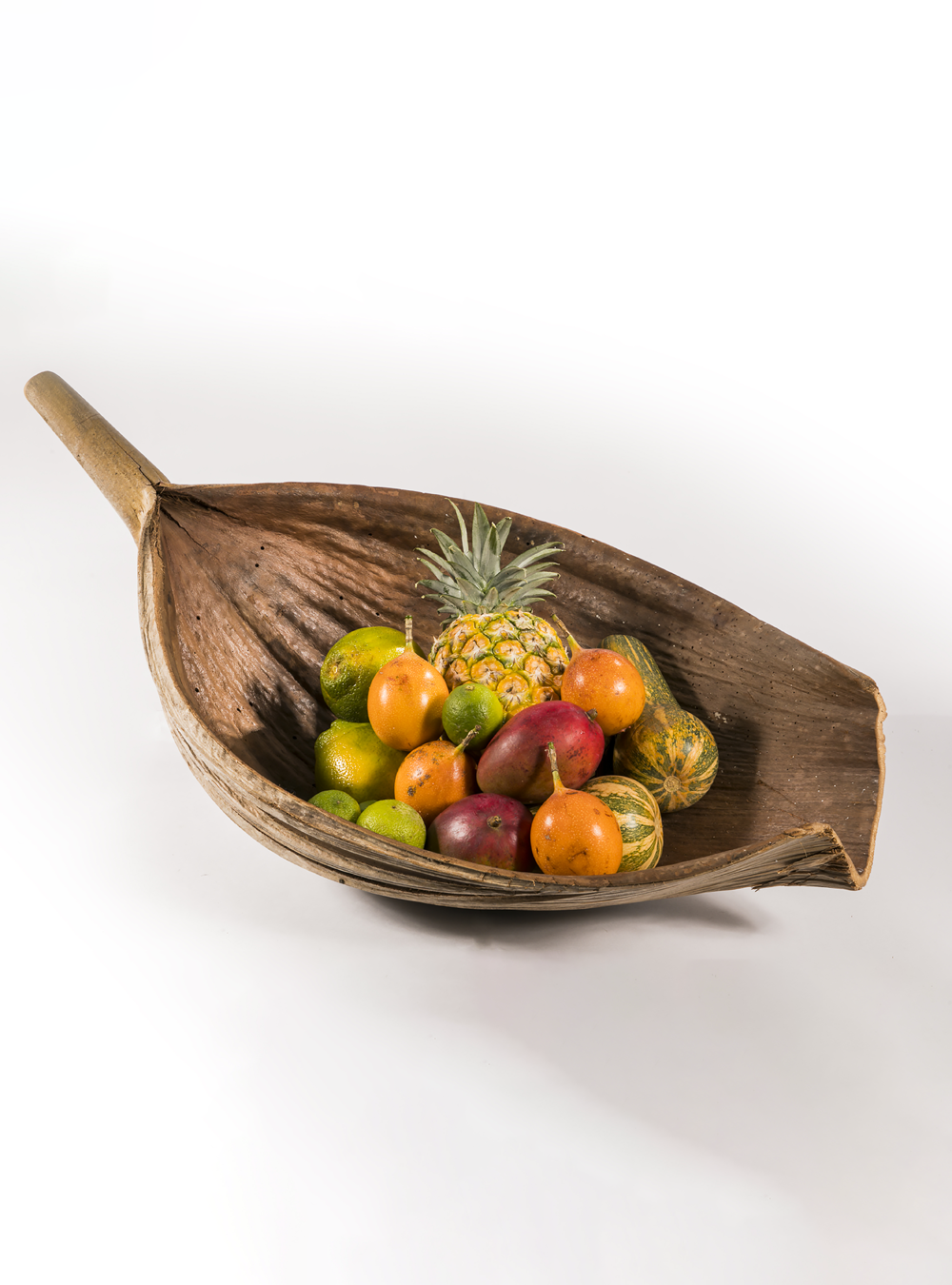 Inaya palm leaf image 3