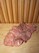 Copper leaf image 11