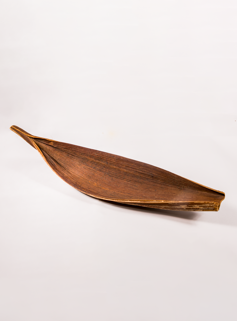Inaya palm leaf image 1