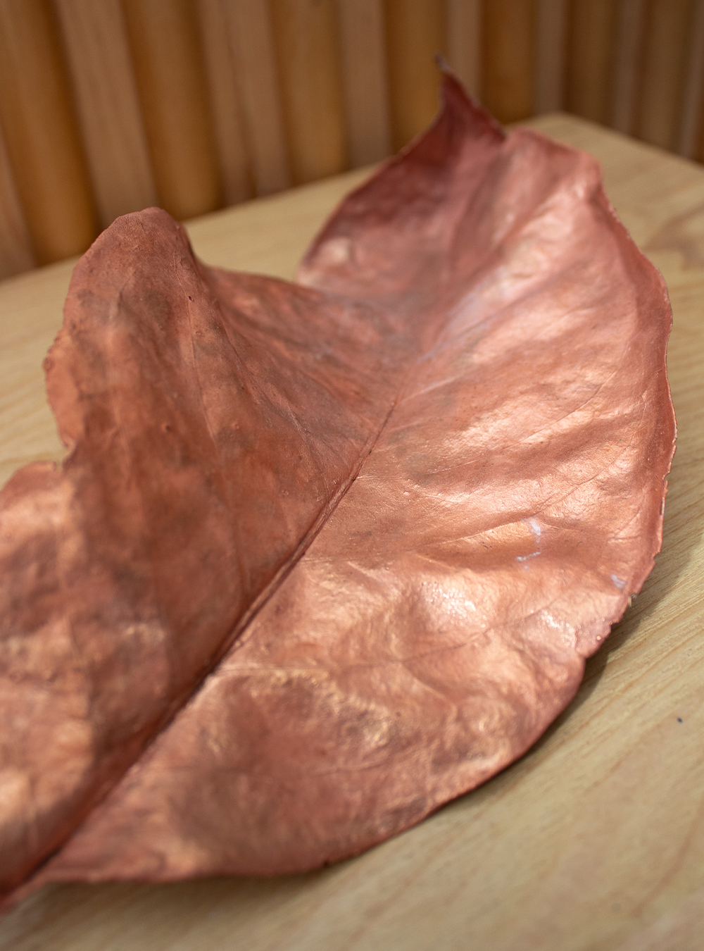 Copper leaf image 1